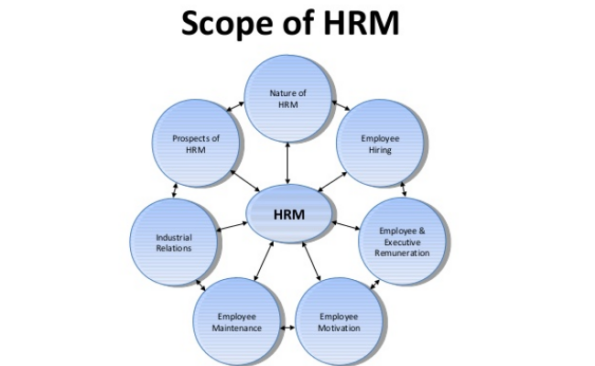 What is the scope of Human Resource Management(HRM) in India? – PaGaLGuY